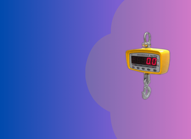 Crane Scale